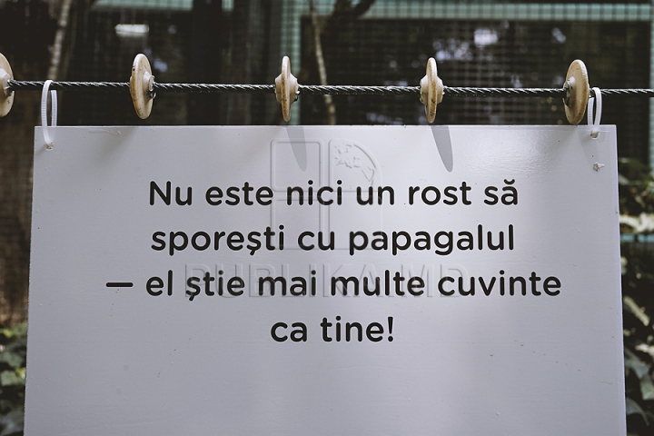 (GALERIE FOTO) "Papugai şi cuşte"! Dacă mergi la Grădina Zoologică din capitală vei râde cu poftă DETALII