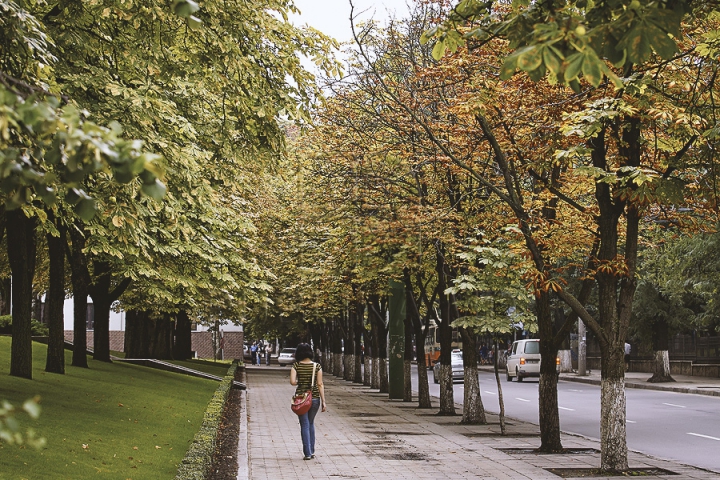 A ruginit frunza în castani. Explicaţia alarmantă a specialiştilor pentru această anomalie din mijlocul verii (FOTO/VIDEO)