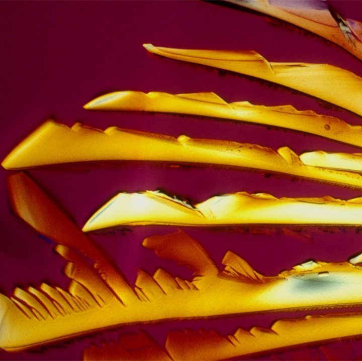 N-o să-ţi vină să crezi! Cum arată cele mai populare băuturi alcoolice şi răcoritoare văzute prin microscop (GALERIE FOTO)