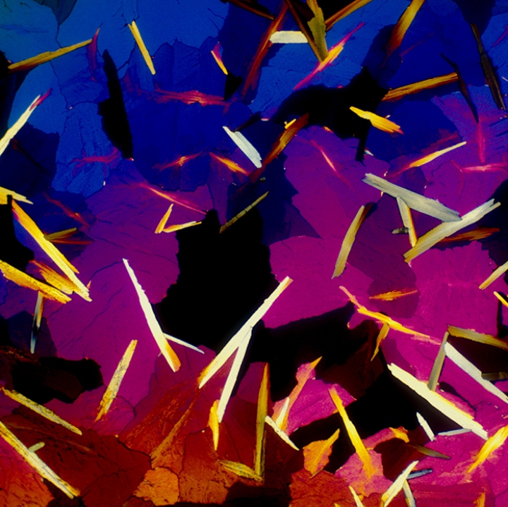 N-o să-ţi vină să crezi! Cum arată cele mai populare băuturi alcoolice şi răcoritoare văzute prin microscop (GALERIE FOTO)