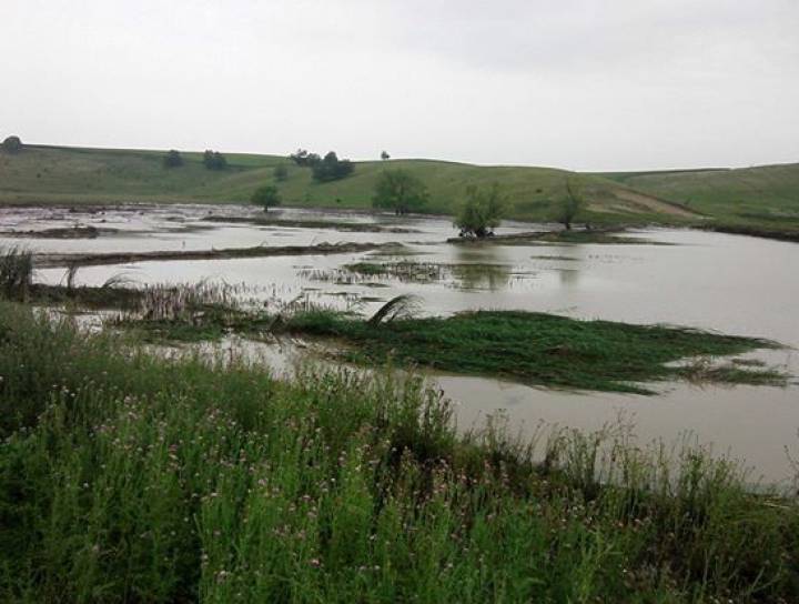 Salvatorii din Moldova înlătură consecinţele ploii. Care localităţi au fost sever afectate (FOTO)