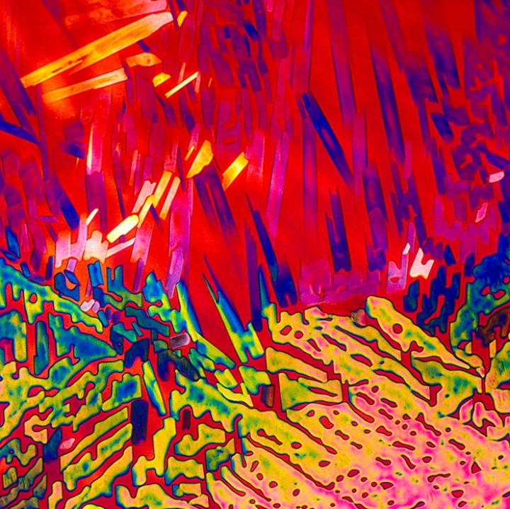 N-o să-ţi vină să crezi! Cum arată cele mai populare băuturi alcoolice şi răcoritoare văzute prin microscop (GALERIE FOTO)