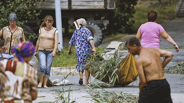 Cu greble și pături! Cum LUPTĂ muncitorii cu stuful din lacul de la Valea Morilor (GALERIE FOTO)