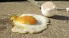 Experiment Publika TV: Din cauza temperaturii caniculare se pot prăji ouă la soare (VIDEO)