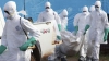 Ebola în Serbia. Medicii supraveghează 14 persoane cu simptome ale virusului incurabil   