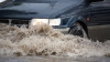 Cu ce impresii au rămas şoferii din Chişinău după ploaia de azi