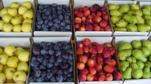 Guvernul se împrumută pentru a achita compensaţii producătorilor de fructe şi legume