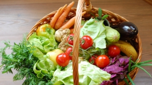 Francezii se distrează pe seama embargoului rusesc şi vor să trimită un coş de fructe şi legume lui Putin