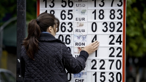 Leul moldovenesc: ascensiunea continuă 