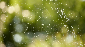 Meteorologii anunţă vreme frumoasă în toată ţara. Care vor fi maximele termice