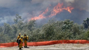 Incendii puternice de vegetaţie în California. Aproximativ 800 de hectare de teren au fost distruse