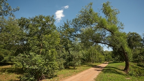 Pentru astăzi sinopticienii anunţă cod portocaliu de caniculă în Moldova 