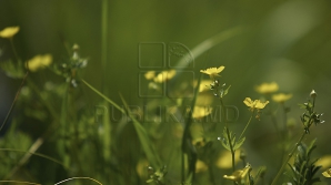 Sinopticienii prezic o nouă zi toridă în Moldova