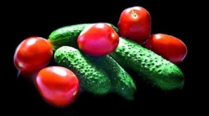 Creşte legume ecologice şi culege câte trei recolte pe an. Vezi afacerea de succes a unui agricultor din Criuleni