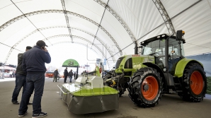 Cine sunt, de fapt, fermierii care au protestat cu tractoarele la Bălţi