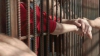 Percheziţii la penitenciarele din ţară! Oamenii legii au cules o ''roadă bogată'' (FOTO)