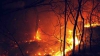 Incendiile de pădure scapă de sub control în California: Focul a distrus peste 3.000 de hectare de vegetaţie