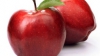 Producătorii de mere sunt optimişti: Sunt soiuri care fac din ochi şi sperăm că le vom putea vinde pe piaţa din UE