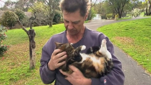 Incendiu pe timp de noapte! Ce a făcut o pisică pentru a-şi salva stăpânul care dormea dus (VIDEO)