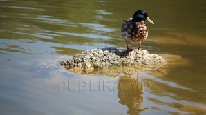 Cer senin şi vânt domol. Meteorologii anunţă când începe să se răcorească vremea