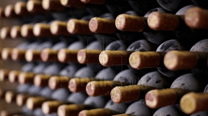 UE importă tot mai mult vin din Moldova. Ţările europene în care a ajuns cea mai mare parte a exporturilor