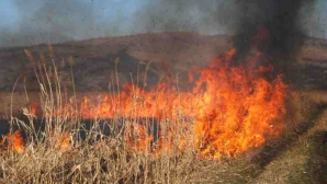 Intră în vigoare avertizarea Cod Galben de incendii. Iată recomandările salvatorilor