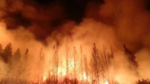 Incendii de vegetaţie în California şi furtună de nisip în SUA. Autorităţile au instituit stare de alertă