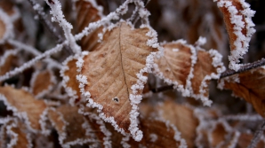 Meteorologii au înregistrat cea mai scăzută temperatură din această toamnă. Vremea se va răci şi mai mult