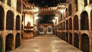 Vinăriile din Ialoveni ar putea fi incluse în ''Drumul Vinului''. Experţii de peste Prut sunt siguri de reuşită 