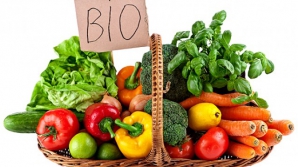 Guvernul a aprobat marca națională pentru produsele agroalimentare ecologice (FOTO)