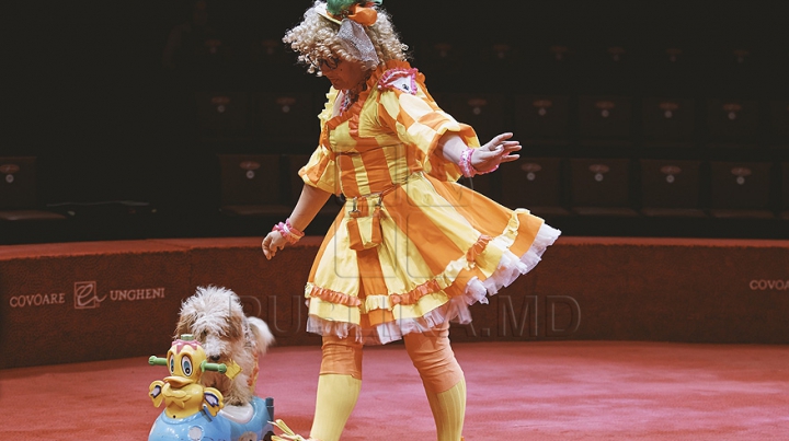 Circul din Chişinău aşteaptă copiii la o nouă stagiune (GALERIE FOTO)