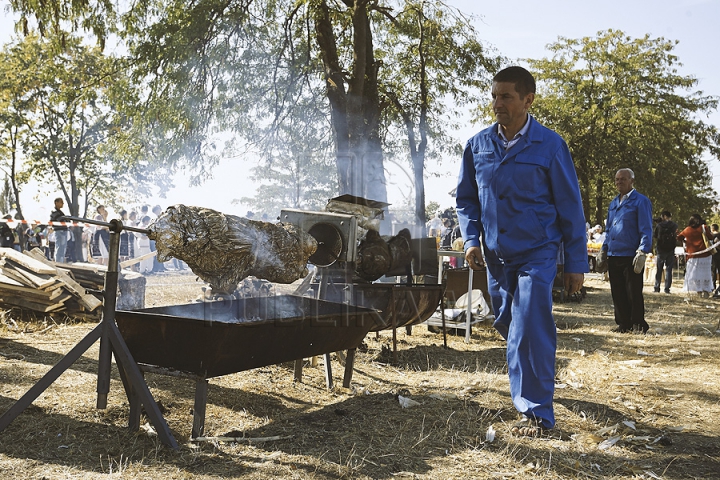 Festivalul Porumbului de la Criuleni a culminat în gătirea celei mai mari mămăligi din lume (GALERIE FOTO)