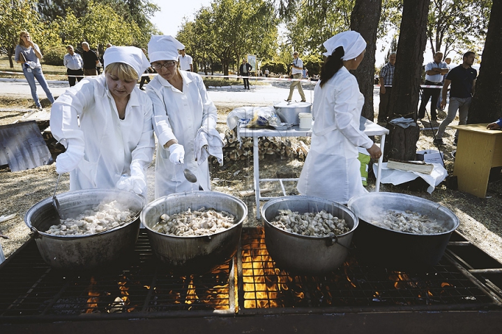 Festivalul Porumbului de la Criuleni a culminat în gătirea celei mai mari mămăligi din lume (GALERIE FOTO)