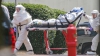 Ebola continuă să facă victime: A murit primul pacient diagnosticat cu virusul mortal în SUA