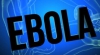 Afaceriştii profită de pe urma unei maladii. Domeniul ebola.com a fost vândut