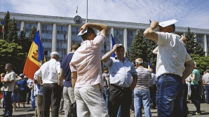 Fermierii, nemulţumiţi de planul de compensare a Guvernului. Ce alte soluţii sunt prevăzute pentru a linişti spiritele