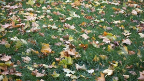 Vremea rămâne frumoasă. Câte grade vor indica termometrele în prima zi de octombrie 