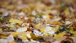 Meteorologii anunţă vreme frumoasă cu cer parţial acoperit de nori 