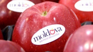 Alternativă la embargoul Moscovei. Merele moldoveneşti au ajuns pe rafturile din România
