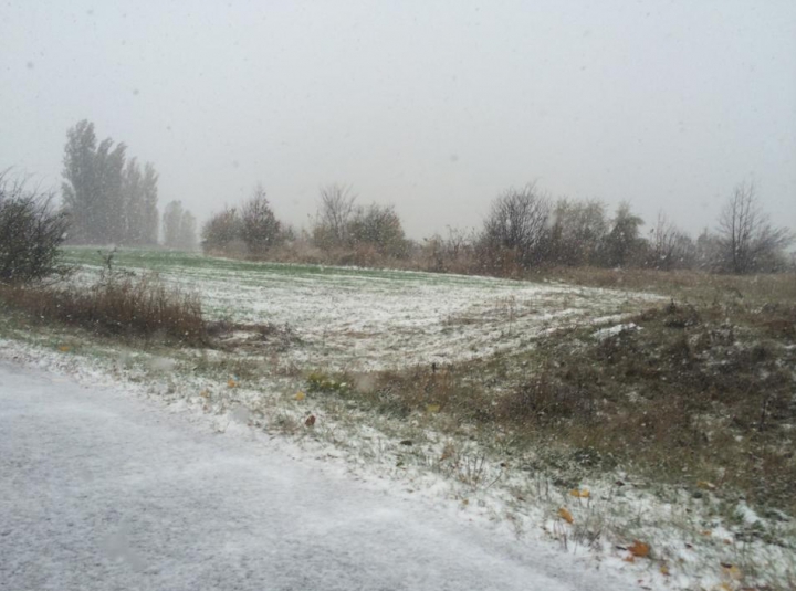 A nins peste Moldova! Primii fulgi au căzut în nordul ţării (FOTO/VIDEO)