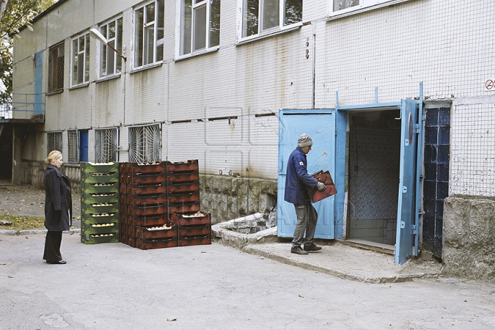 O moldoveancă generoasă a donat două tone de mere Centrului Mamei și Copilului (GALERIE FOTO)