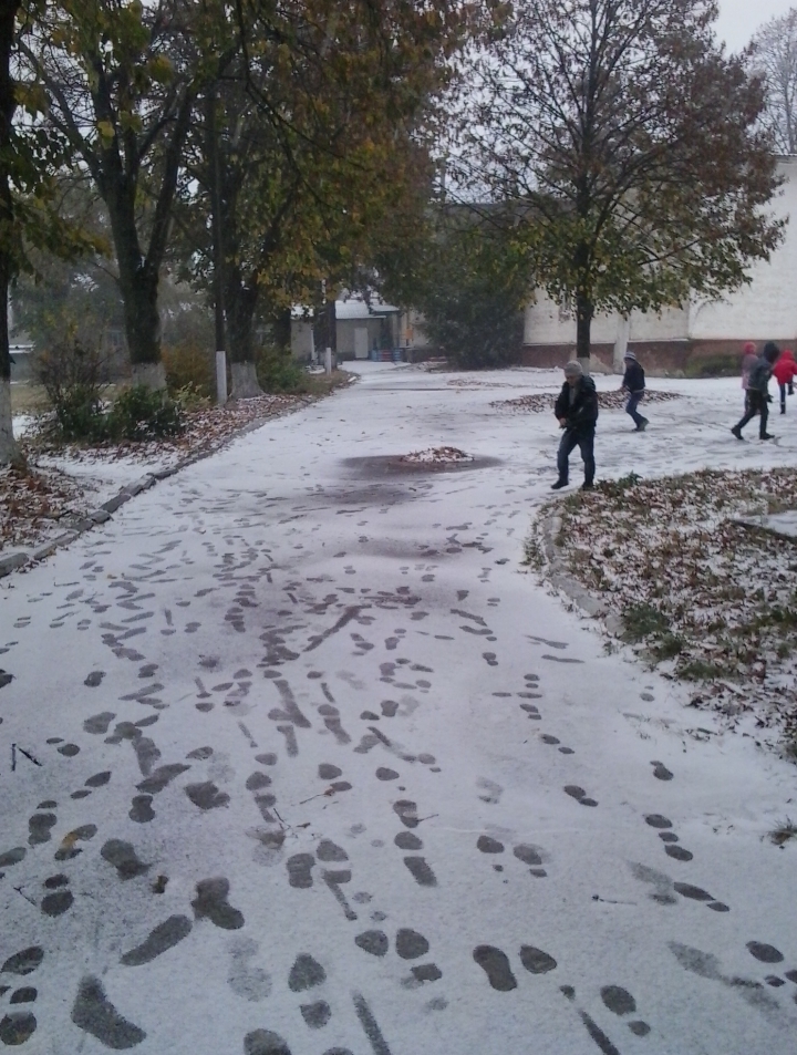 A nins peste Moldova! Primii fulgi au căzut în nordul ţării (FOTO/VIDEO)