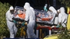 Speranţe mari pentru găsirea unor tratamente împotriva virusului mortal Ebola