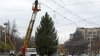 Autorităţile capitalei caută pomul de Crăciun. Nu toţi brazii găsiţi corespund cerinţelor (VIDEO)