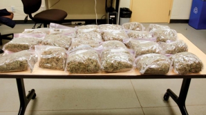 Descoperire de proporţii la frontieră! Oamenii legii au găsit peste 175 de kg de narcotice