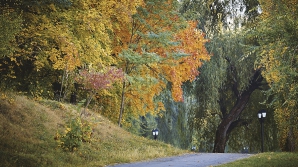 Vreme bună şi soare pe cer. Câte grade vor indica termometrele în următoarele zile