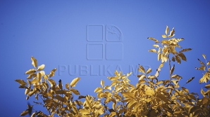 Veşti bune! În următoarele zile ne vom putea bucura de o toamnă frumoasă şi însorită