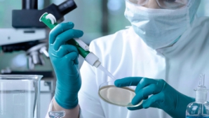 Alertă de gripă aviară în Olanda. Comisia Europeană se va întruni de urgenţă pentru a adopta măsuri de protecţie