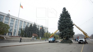 Cel mai important Pom de Crăciun al ţării va fi instalat mâine în Piaţa Marii Adunări Naţionale 