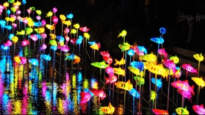  Festivalului Lampioanelor în Coreea de Sud. În centrul Seulului a fost creată o lume de poveste